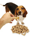 Office Snax Doggie Biscuits, 10 lb Box (00041)