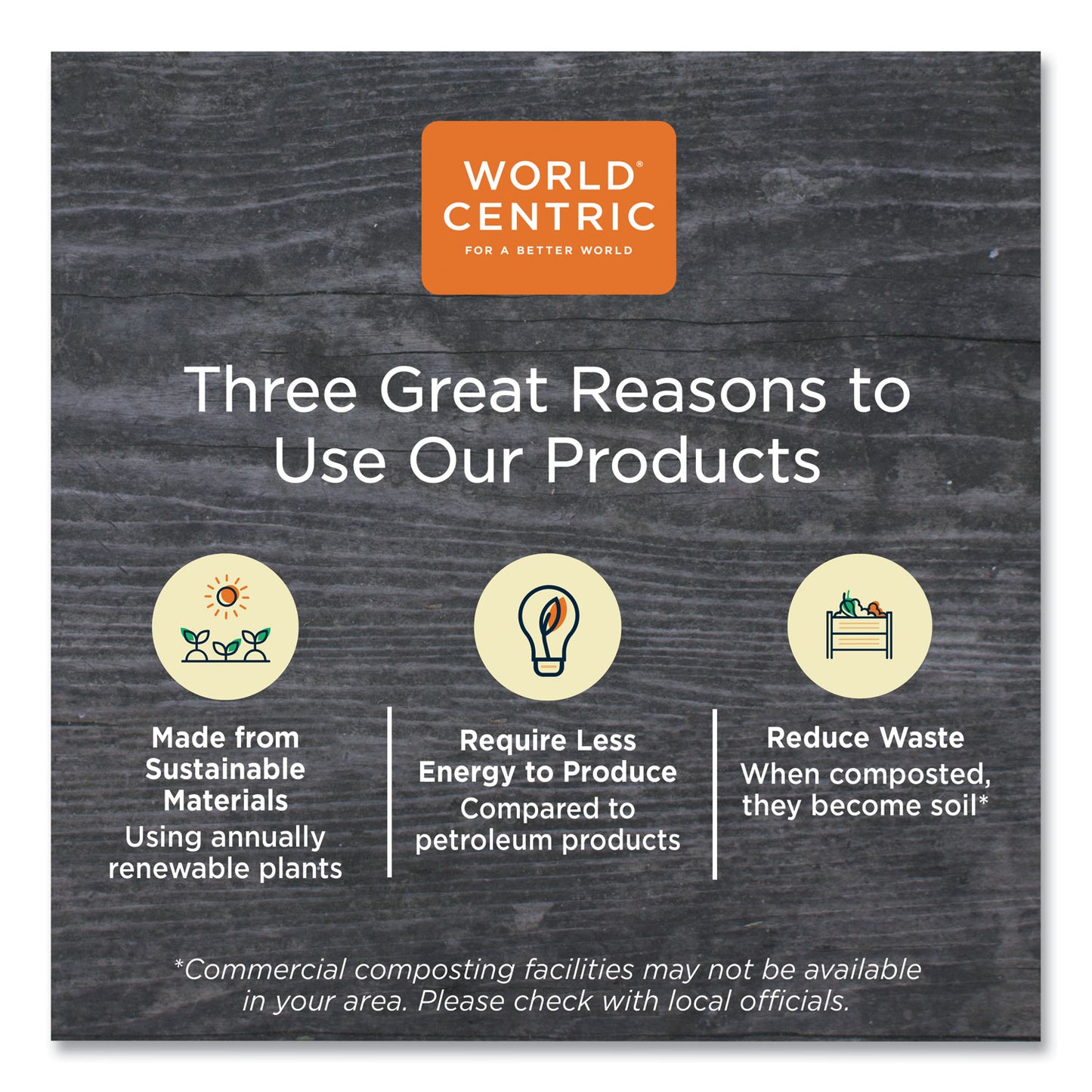 World Centric TPLA Compostable Cutlery, Spoon, 6", White, 1,000/Carton (SPPS6)