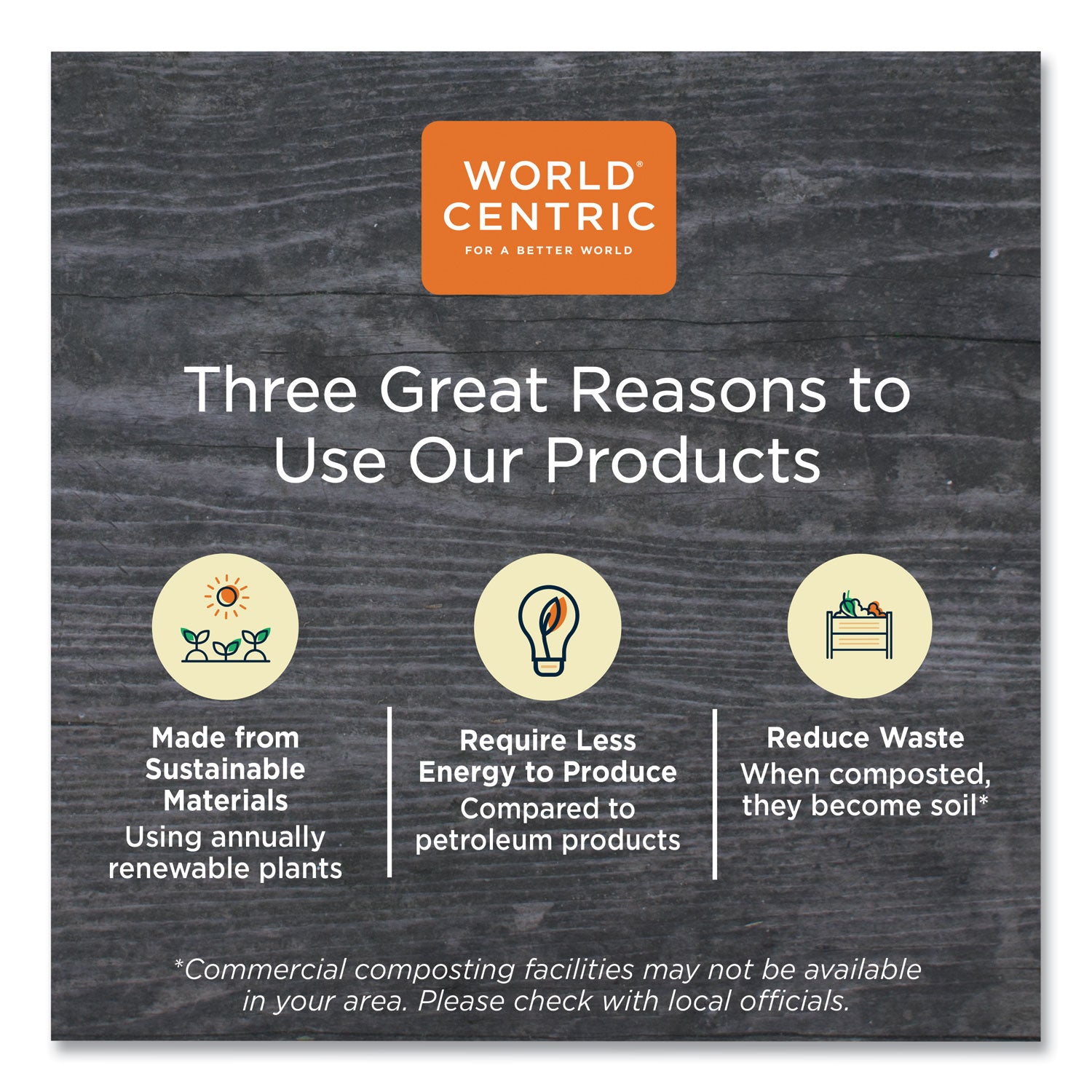 World Centric TPLA Compostable Cutlery, Spoon, 6", White, 1,000/Carton (SPPS6)