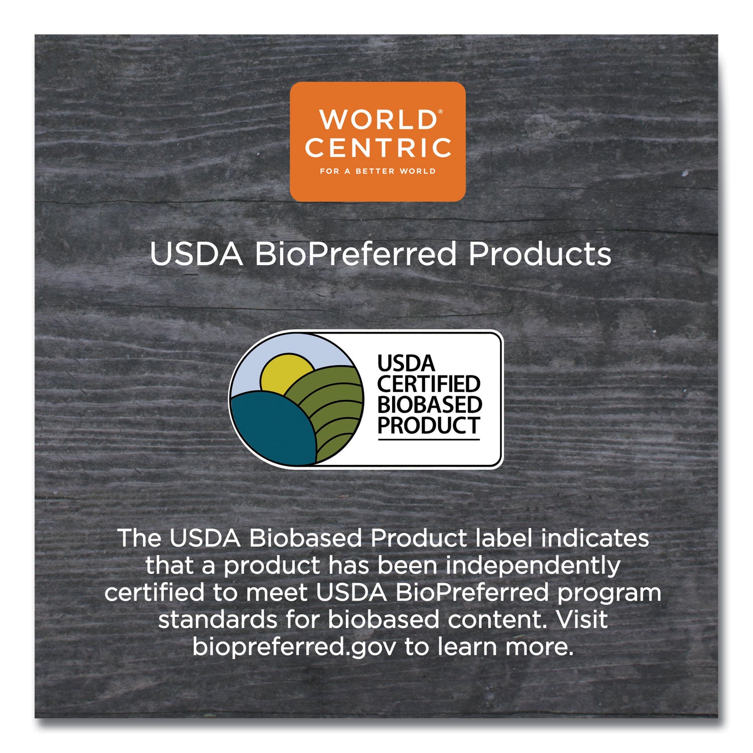 World Centric TPLA Compostable Cutlery, Spoon, 6", White, 1,000/Carton (SPPS6)