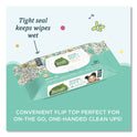 Seventh Generation Free and Clear Baby Wipes, 7 x 7, Unscented, White, 64/Flip-Top Pack (34208)