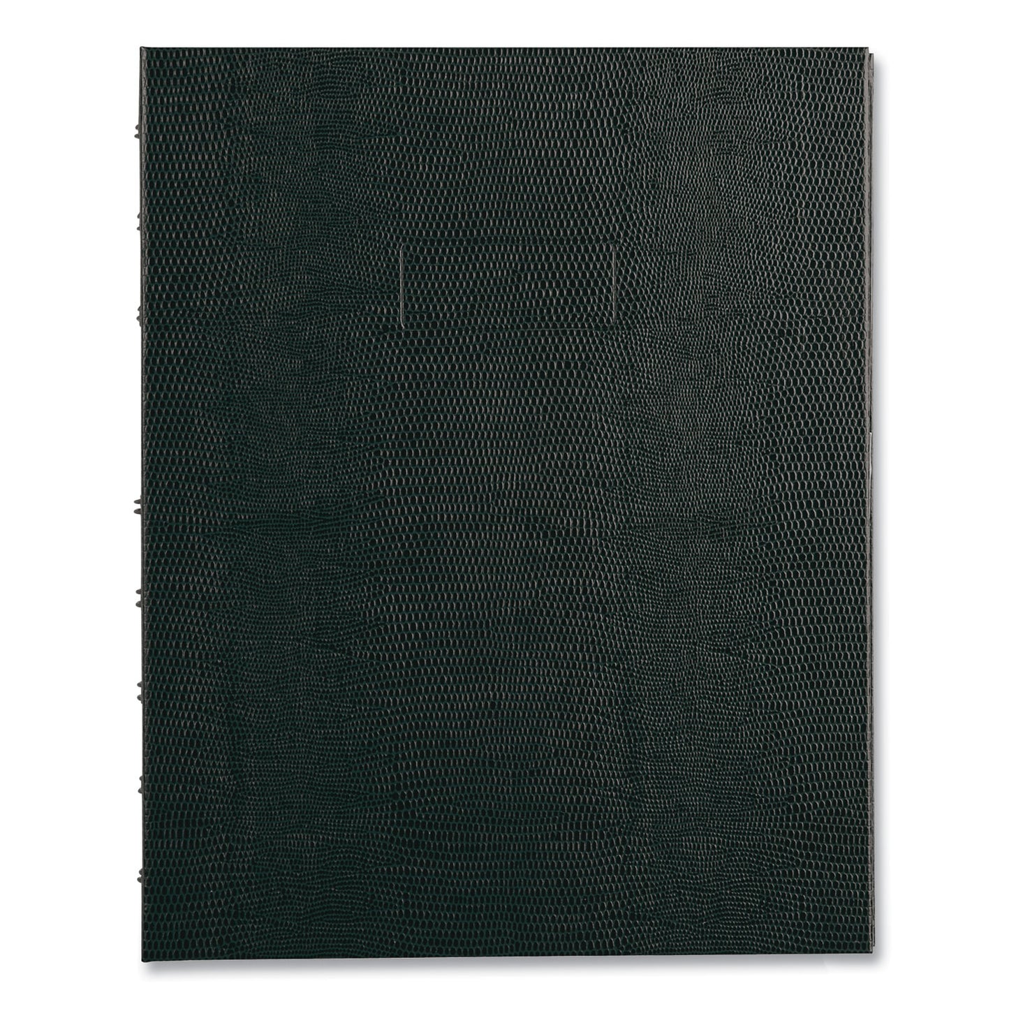 Blueline NotePro Undated Daily Planner, 9.25 x 7.25, Black Cover, Undated (A29C81)