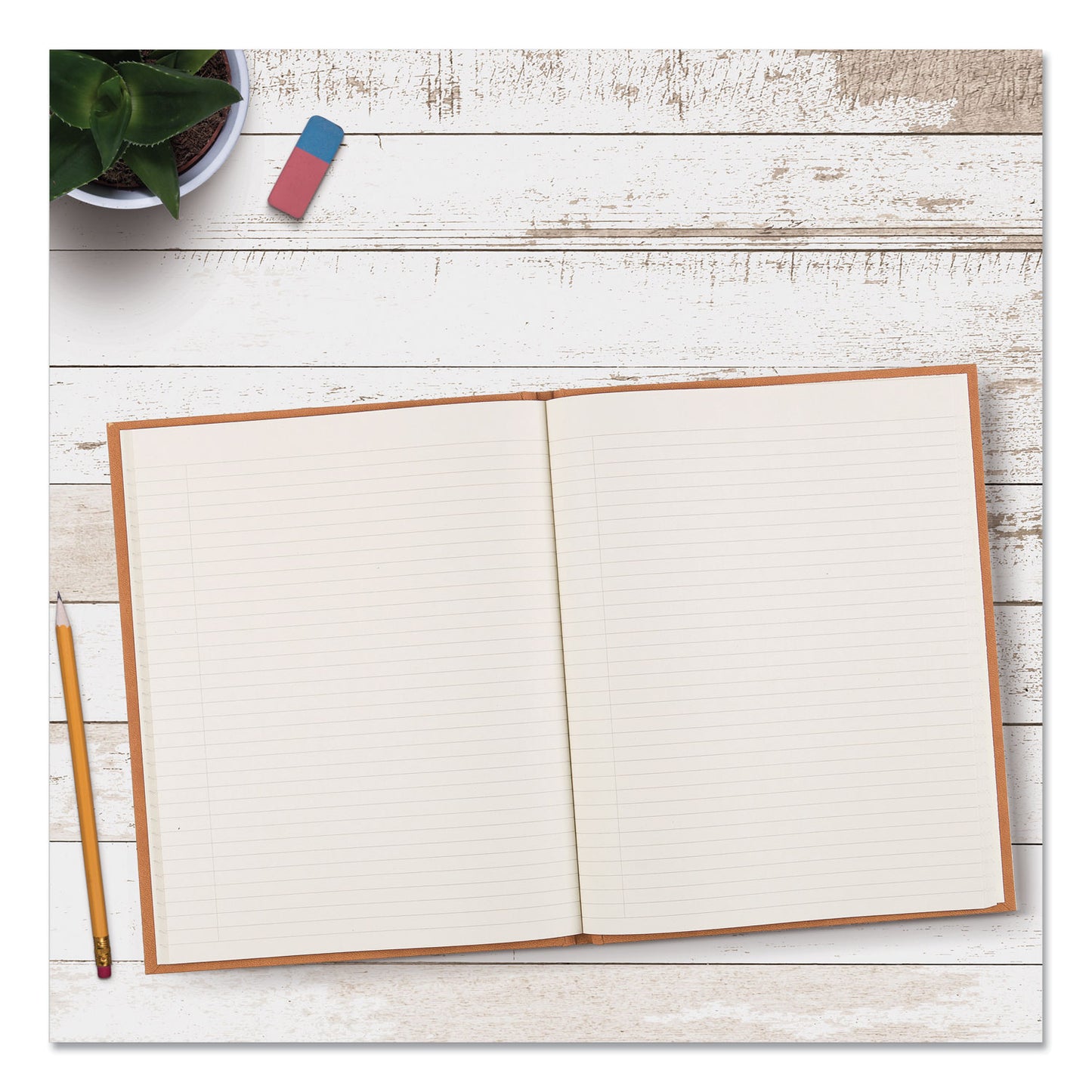 Blueline Da Vinci Notebook, 1-Subject, Medium/College Rule, Tan Cover, (75) 11 x 8.5 Sheets (A8004)