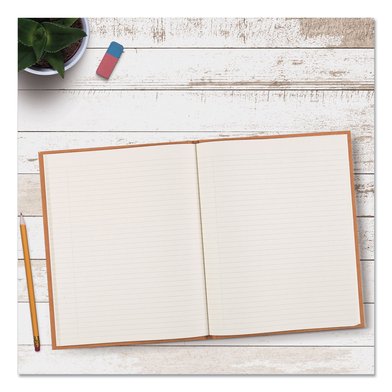 Blueline Da Vinci Notebook, 1-Subject, Medium/College Rule, Tan Cover, (75) 11 x 8.5 Sheets (A8004)