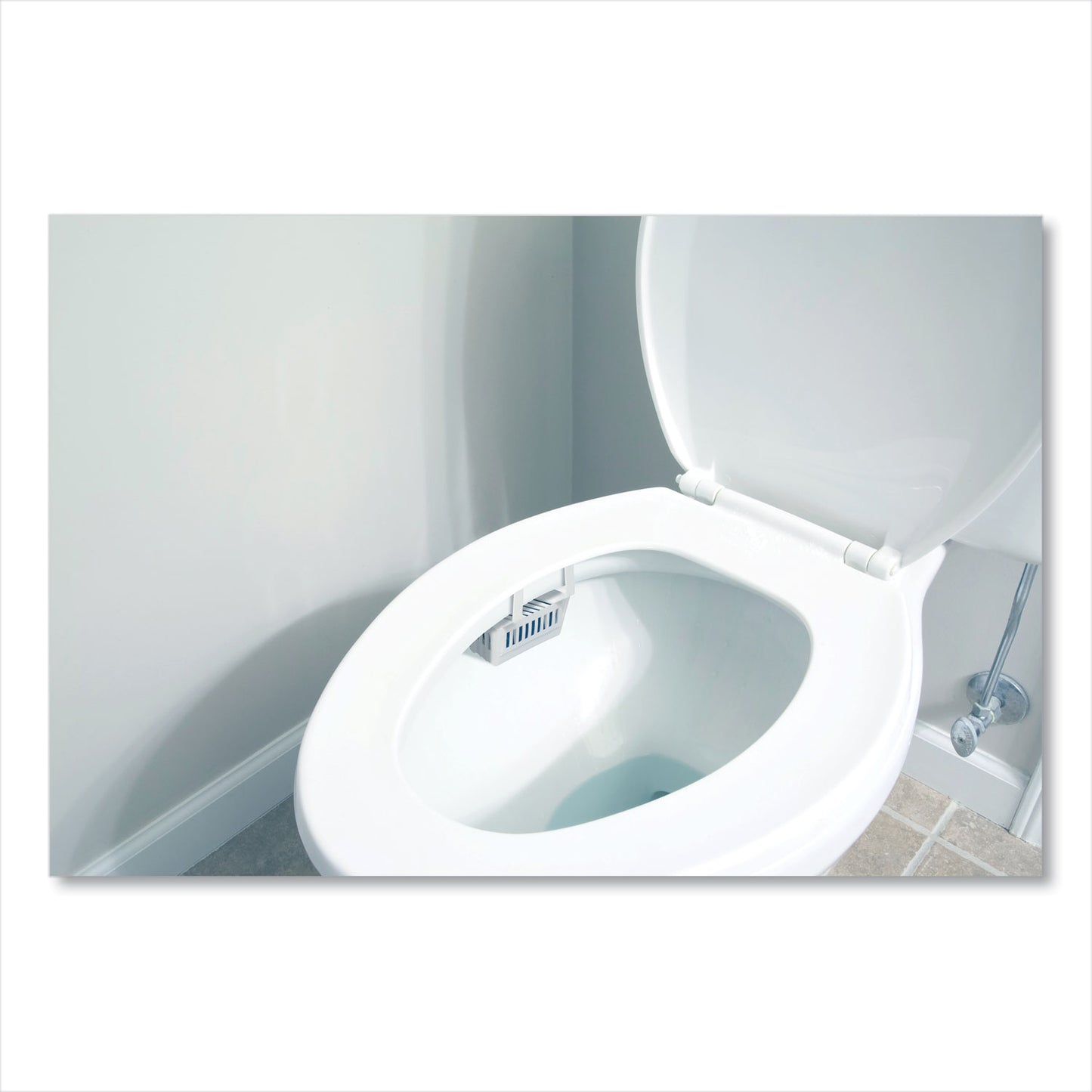 Big-D Non-Para Toilet Bowl Block, Lasts 30 Days, Evergreen Scent, White, 12/Box (661)