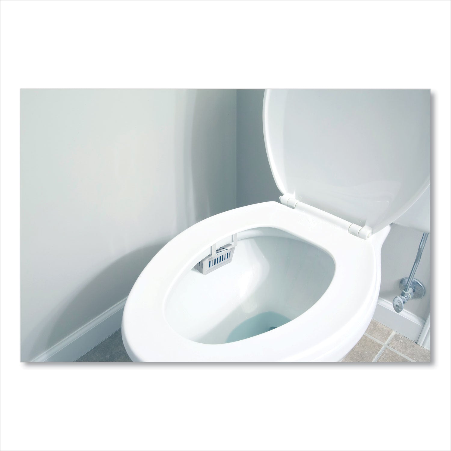 Big-D Non-Para Toilet Bowl Block, Lasts 30 Days, Evergreen Scent, White, 12/Box (661)