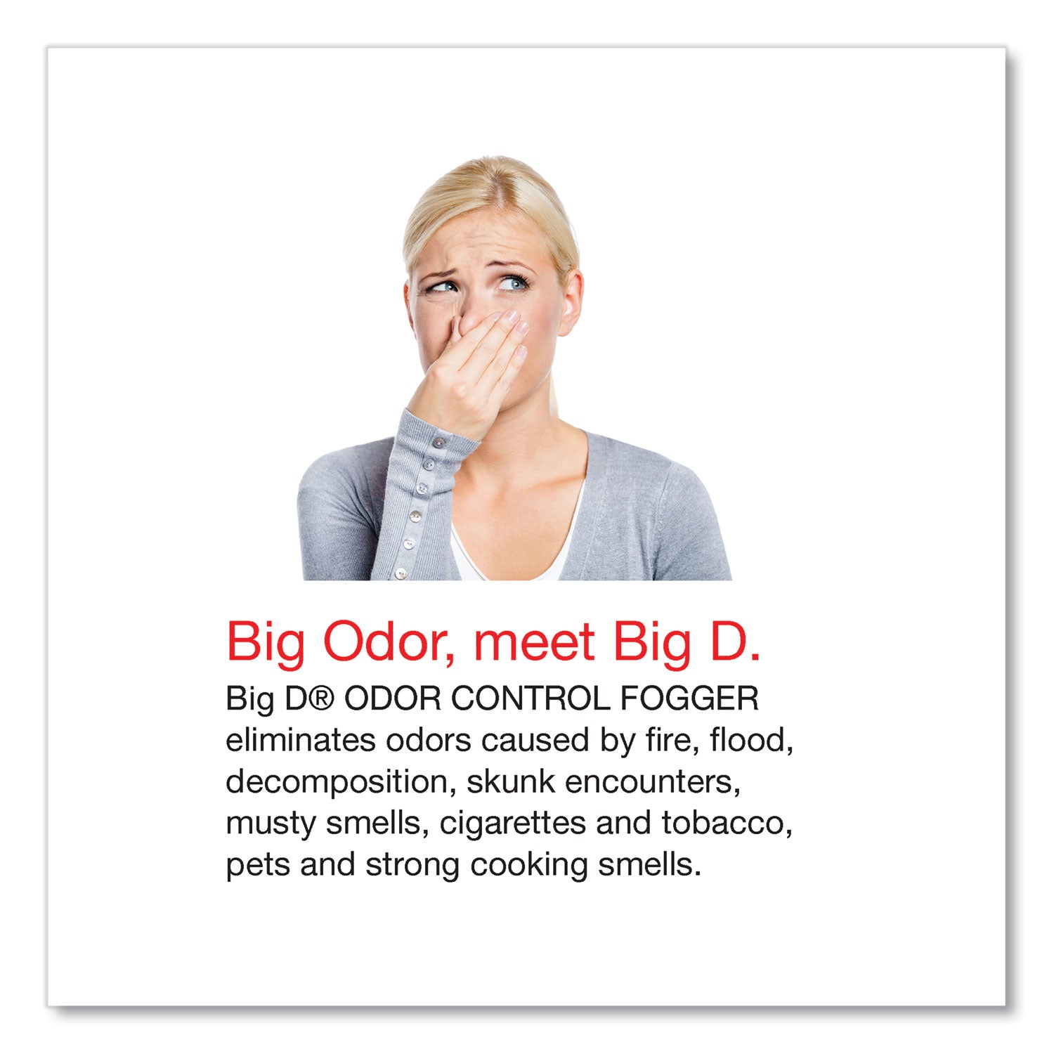 Big-D Odor Control Fogger, Original Scent, 5 oz Aerosol Spray, 12/Carton (341)