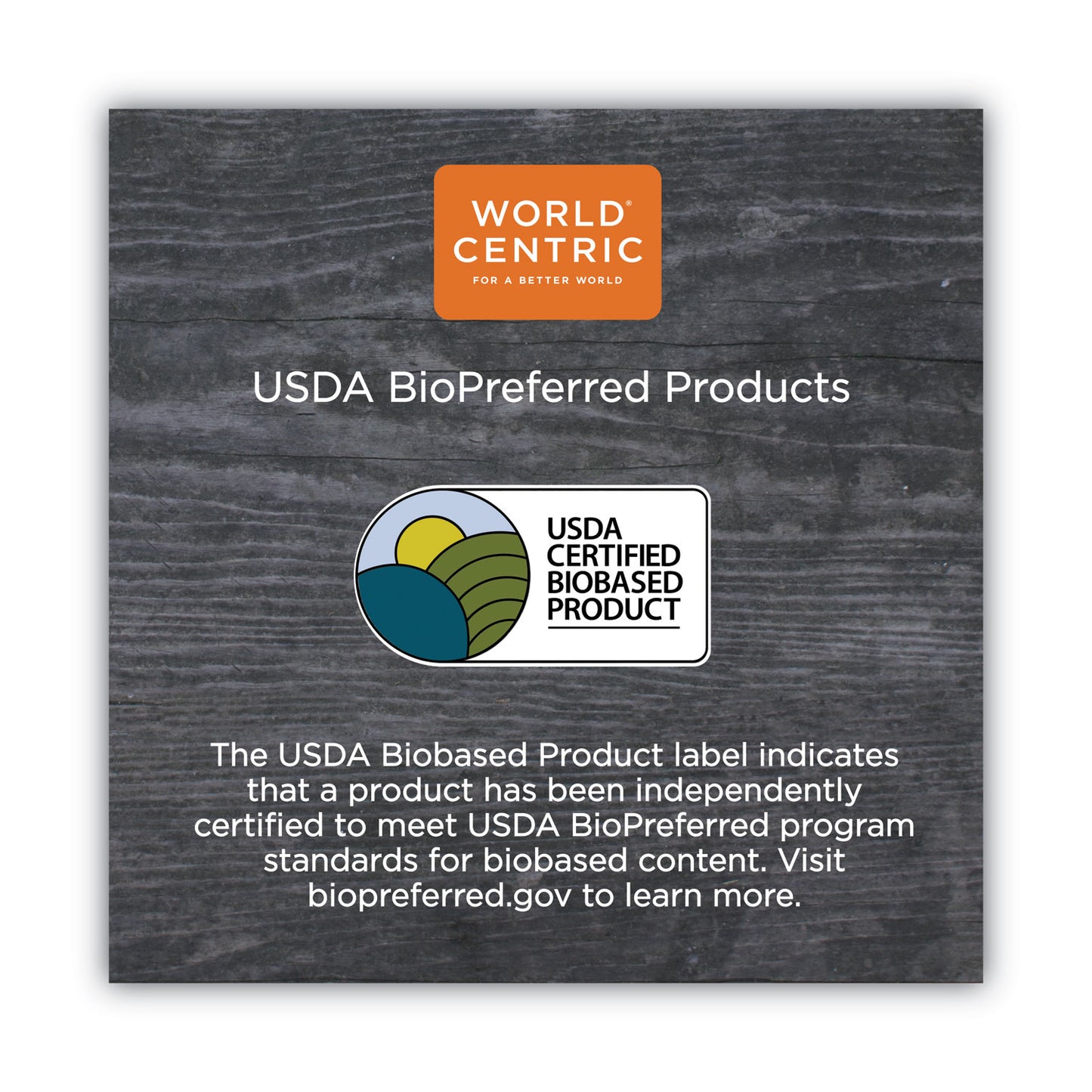 World Centric TPLA Compostable Cutlery, Spoon, 6", White, 750/Carton (SPPSI)