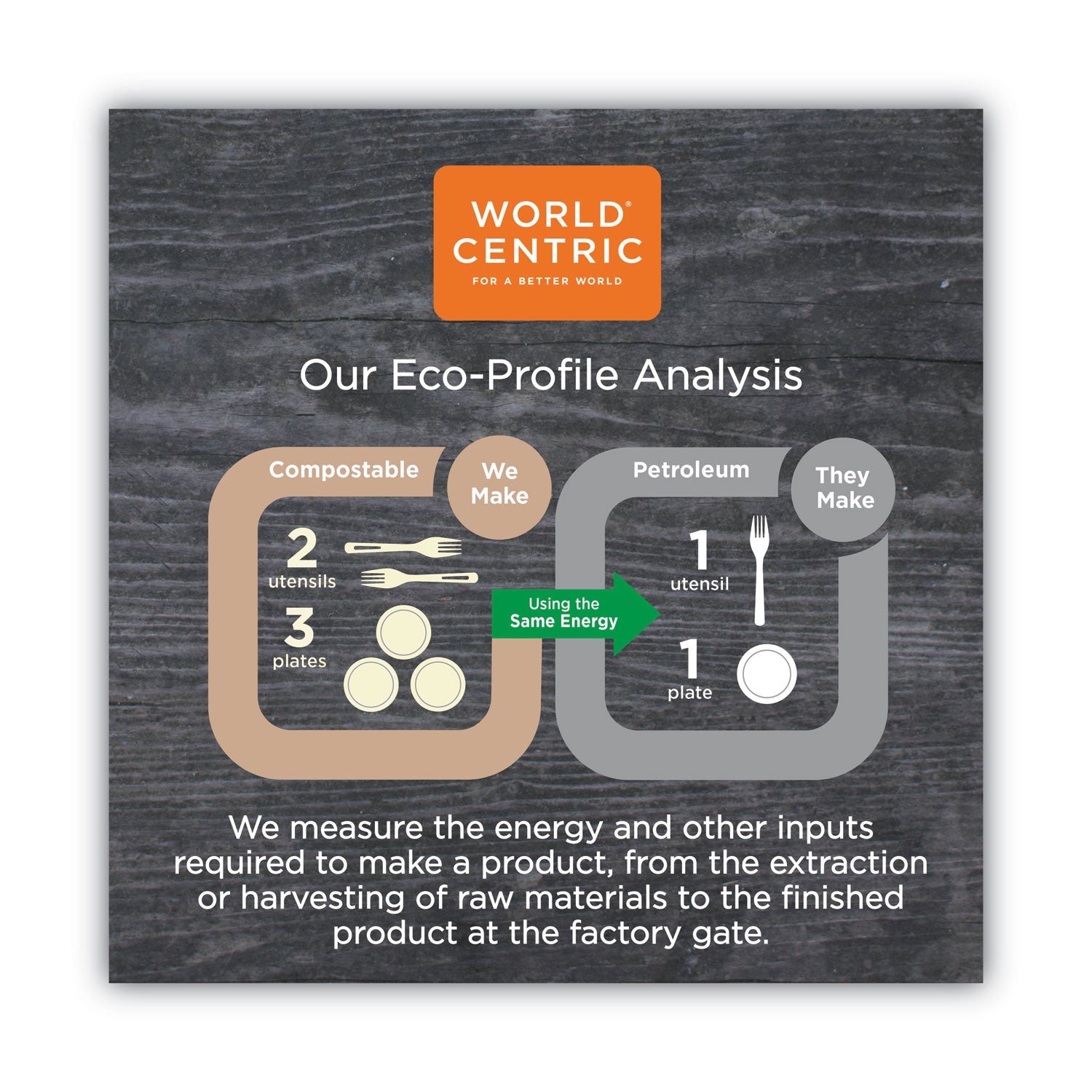 World Centric TPLA Compostable Cutlery, Spoon, 6", White, 750/Carton (SPPSI)