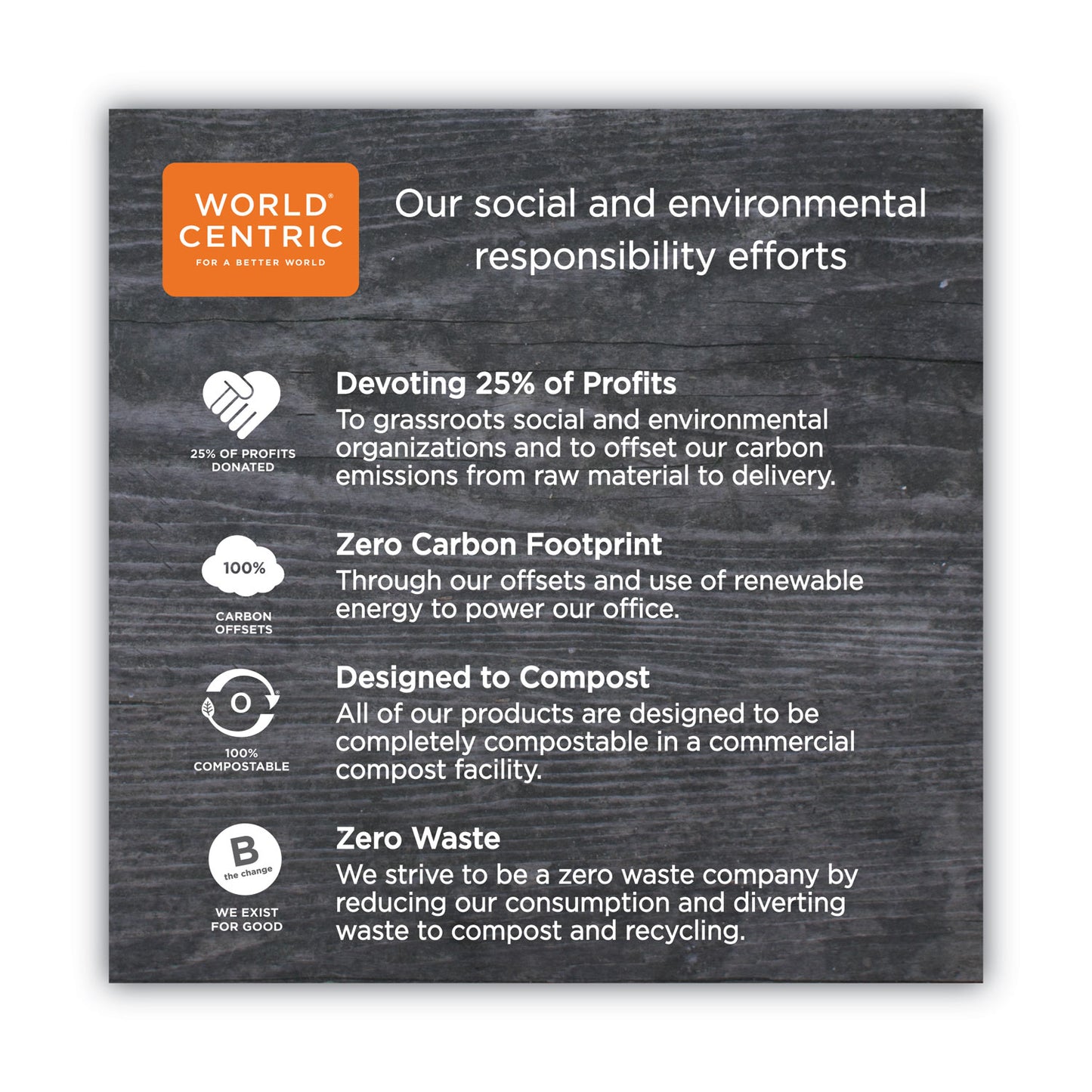 World Centric TPLA Compostable Cutlery, Spoon, 6", White, 750/Carton (SPPSI)