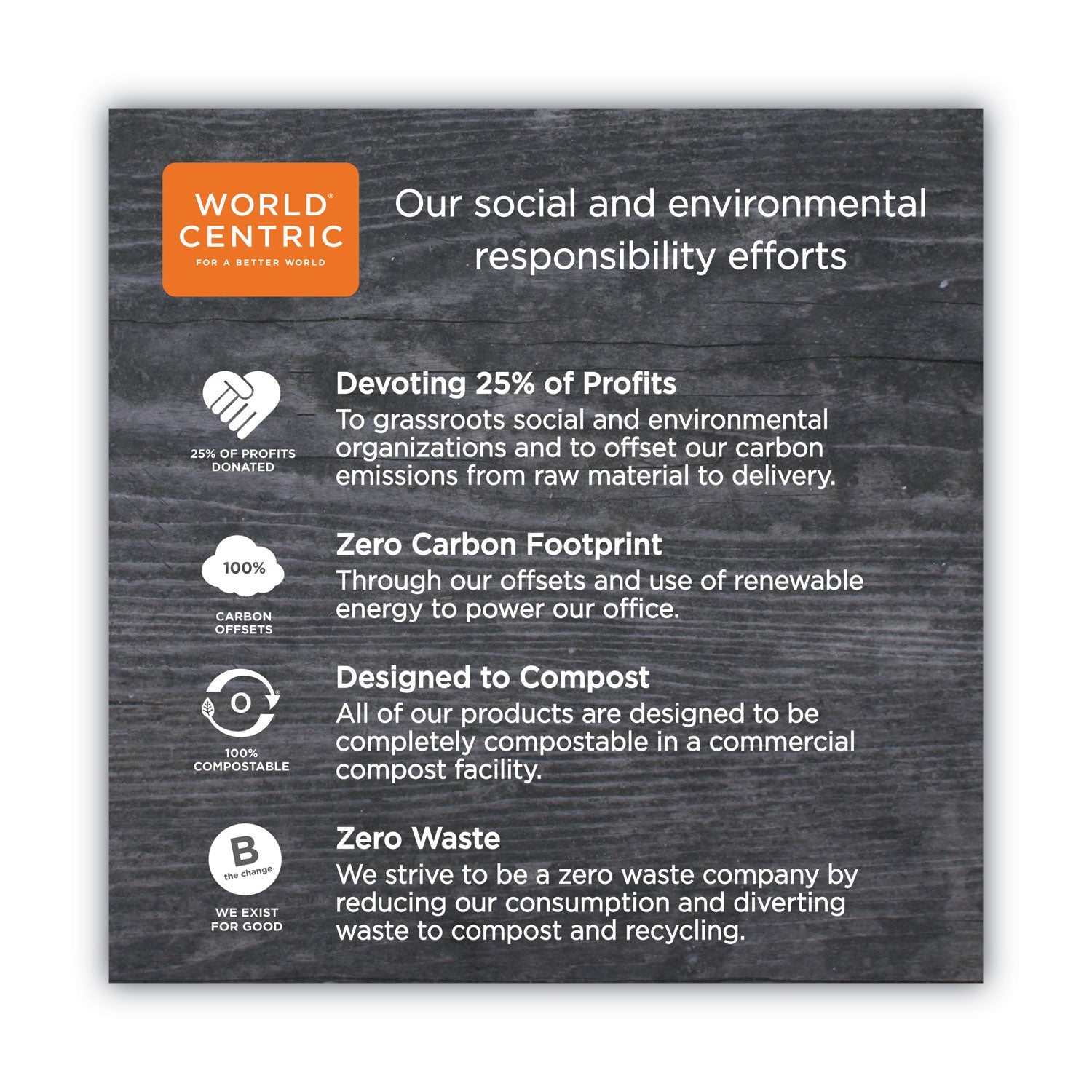 World Centric TPLA Compostable Cutlery, Spoon, 6", White, 750/Carton (SPPSI)