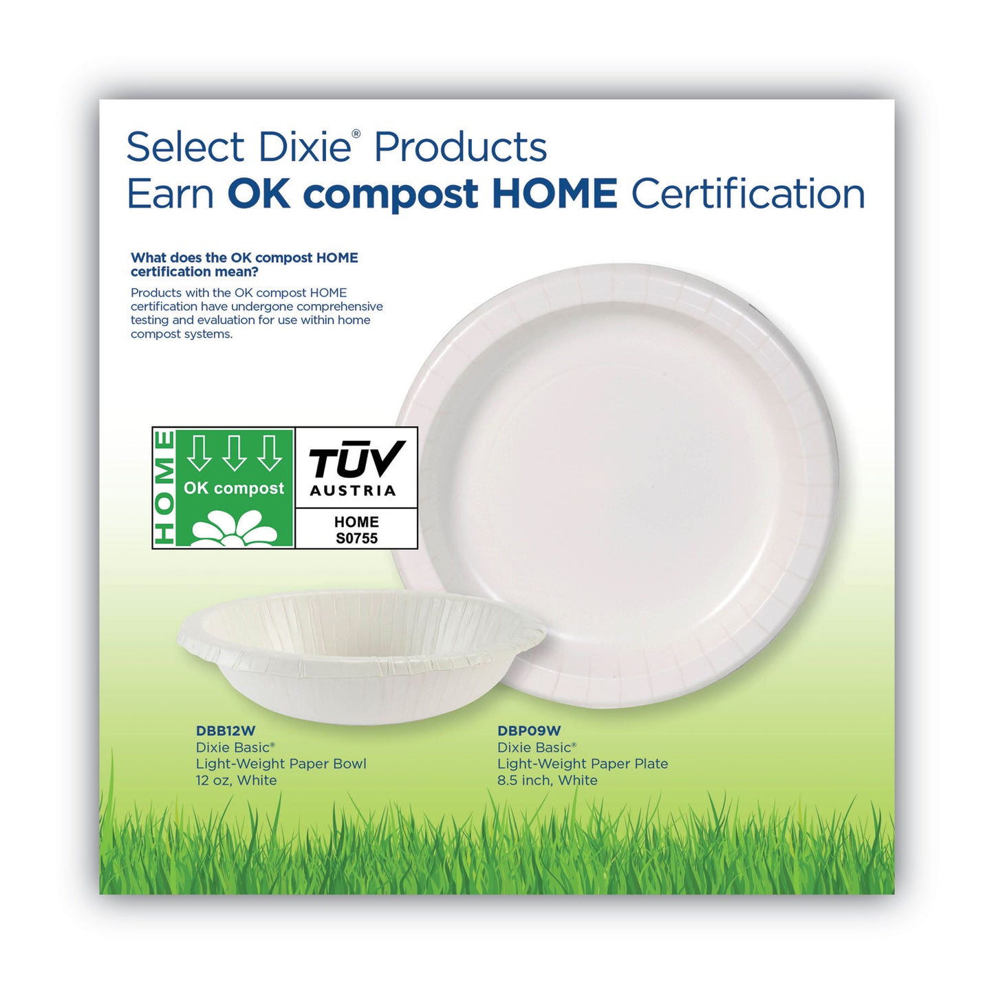 Dixie Paper Dinnerware, Plate, 8.5" dia, White, 125/Pack (DBP09W)