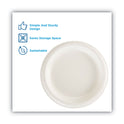 Dixie Paper Dinnerware, Plate, 8.5" dia, White, 125/Pack (DBP09W)