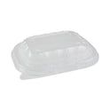 Pactiv EarthChoice Entree2Go Takeout Container Vented Lid, 5.65 x 4.25 x 0.93, Clear, Plastic, 600/Carton (YCNV6X4PPDL)