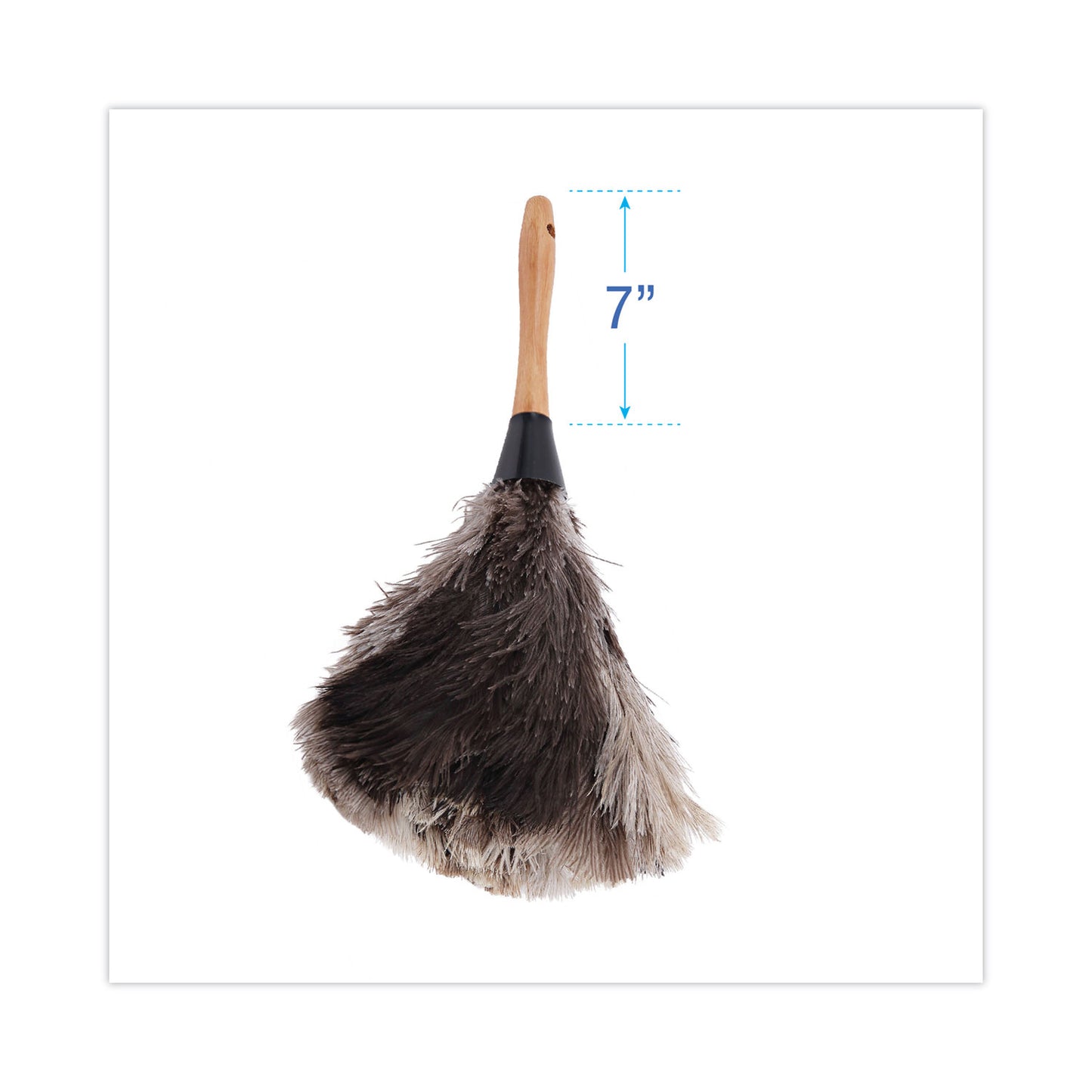 Boardwalk Professional Ostrich Feather Duster, 7" Handle (13FD)