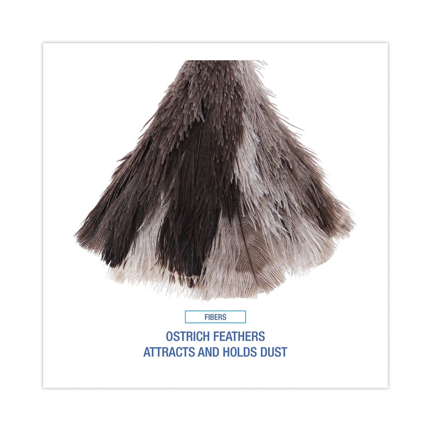 Boardwalk Professional Ostrich Feather Duster, 7" Handle (13FD)