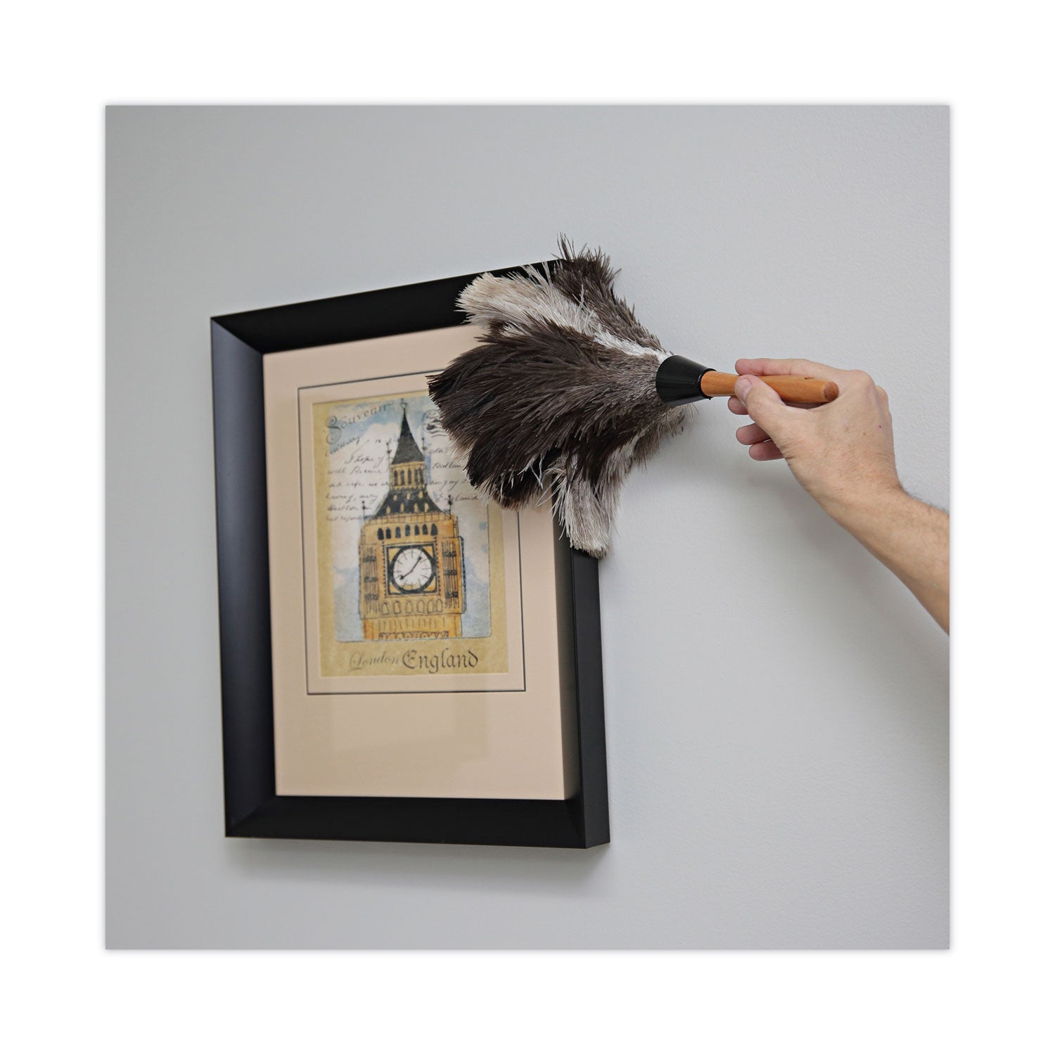 Boardwalk Professional Ostrich Feather Duster, 7" Handle (13FD)