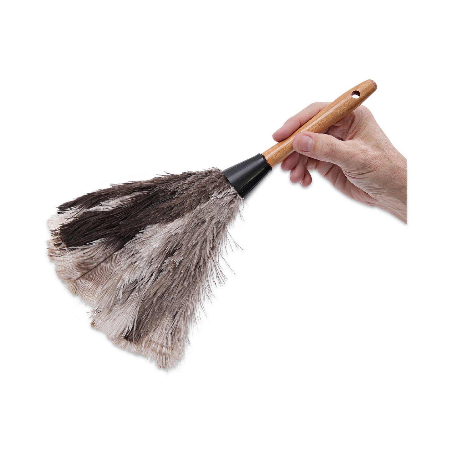 Boardwalk Professional Ostrich Feather Duster, 7" Handle (13FD)