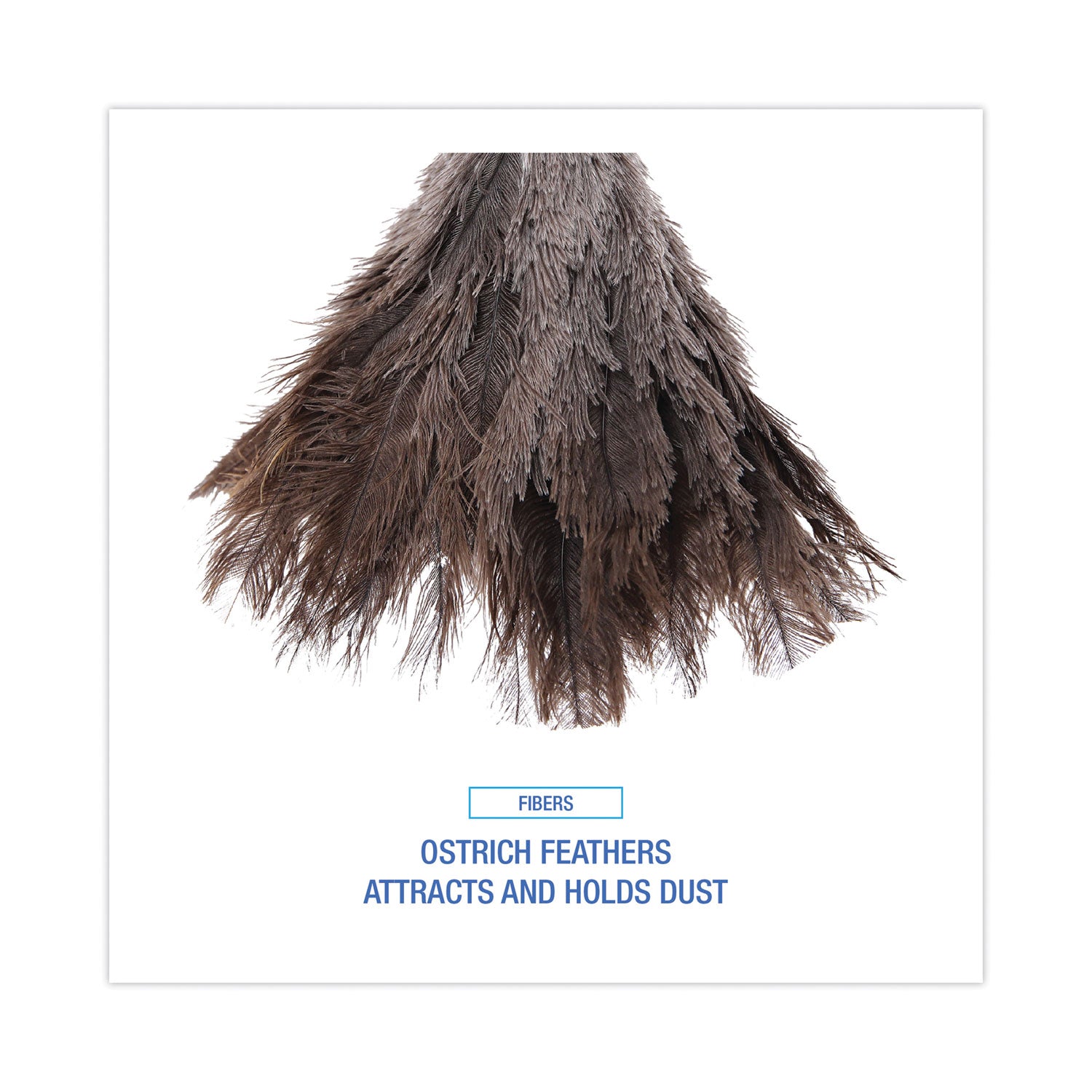 Boardwalk Professional Ostrich Feather Duster, Gray, 14" Length, 6" Handle (14FD)