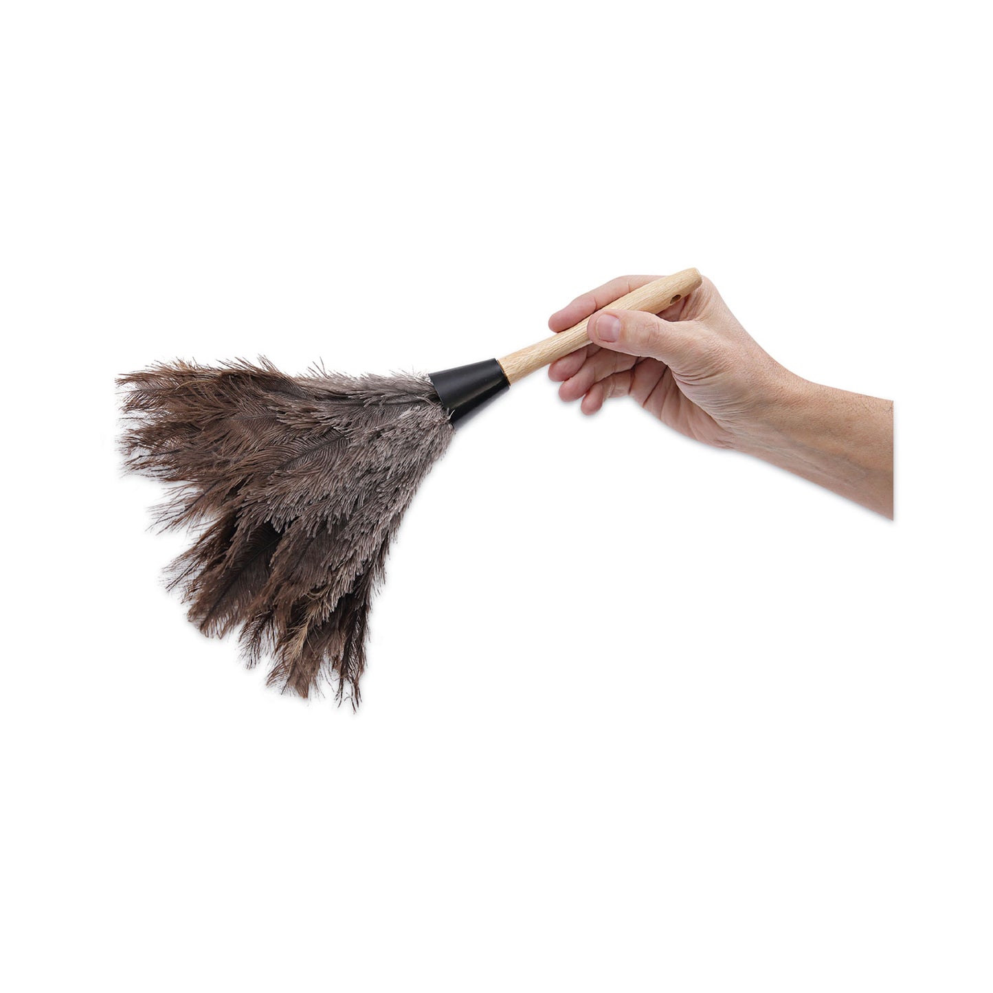 Boardwalk Professional Ostrich Feather Duster, Gray, 14" Length, 6" Handle (14FD)