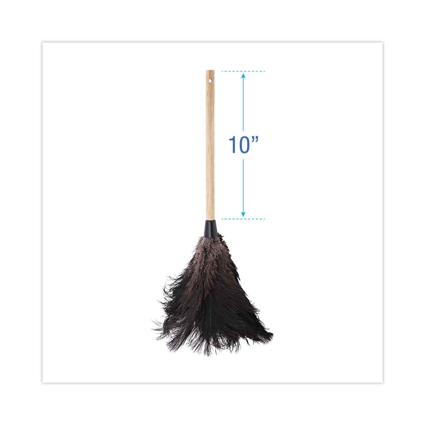 Boardwalk Professional Ostrich Feather Duster, 10" Handle (20BK)