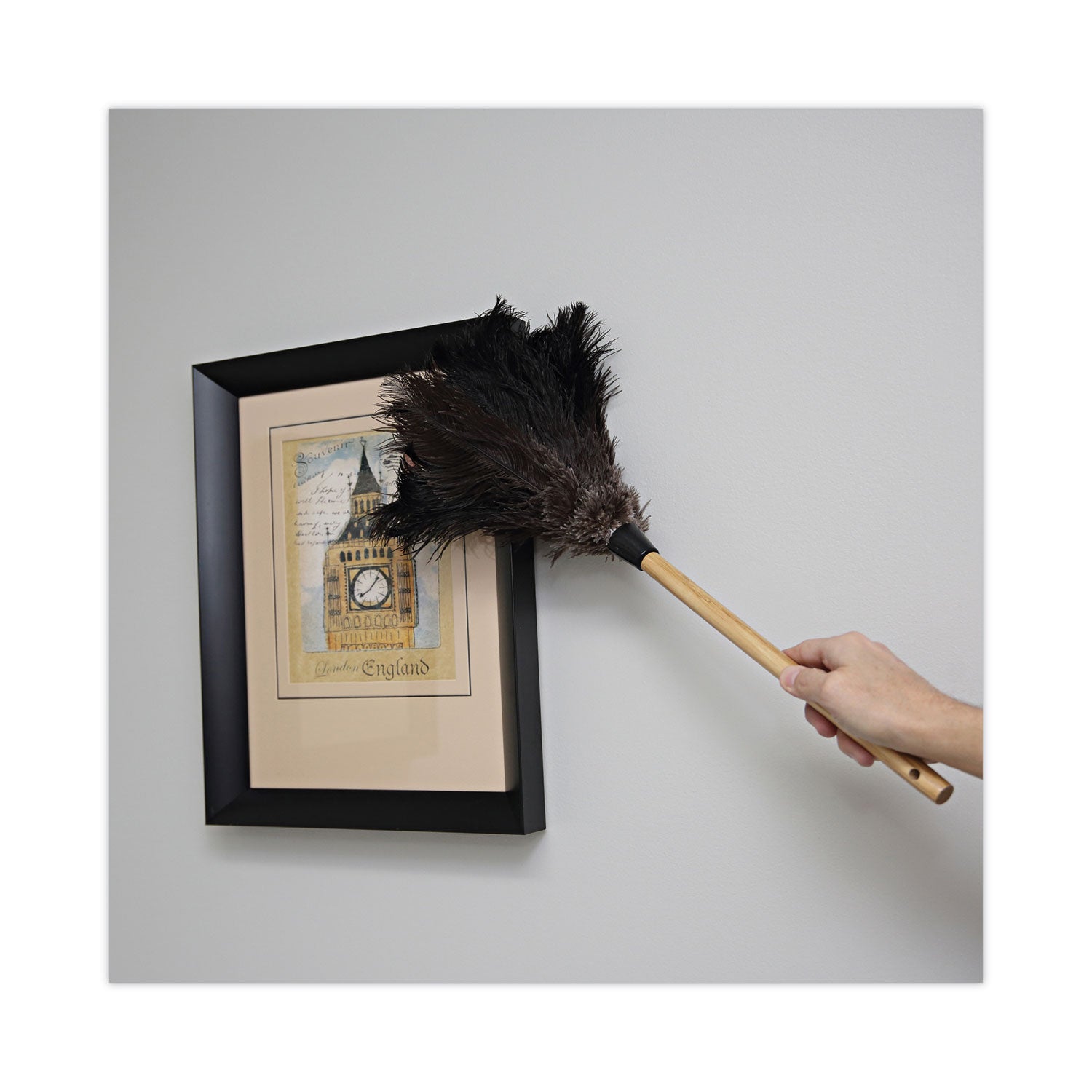 Boardwalk Professional Ostrich Feather Duster, 10" Handle (20BK)