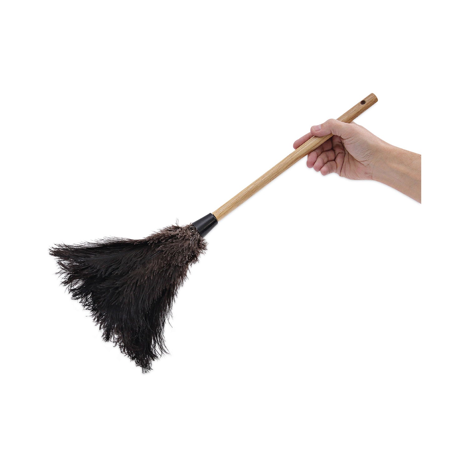 Boardwalk Professional Ostrich Feather Duster, 10" Handle (20BK)