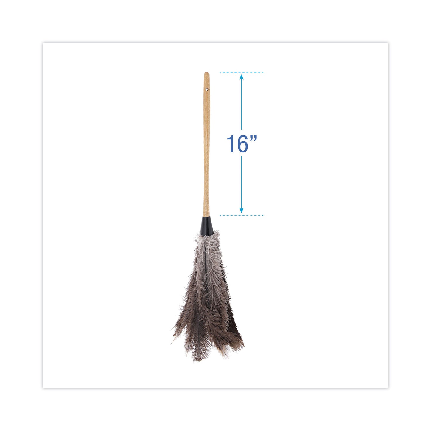 Boardwalk Professional Ostrich Feather Duster, 16" Handle (31FD)