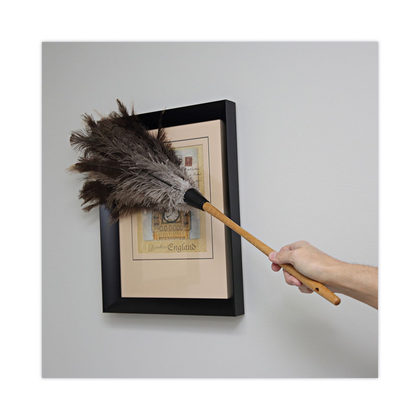 Boardwalk Professional Ostrich Feather Duster, 16" Handle (31FD)