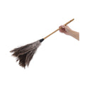 Boardwalk Professional Ostrich Feather Duster, 16" Handle (31FD)