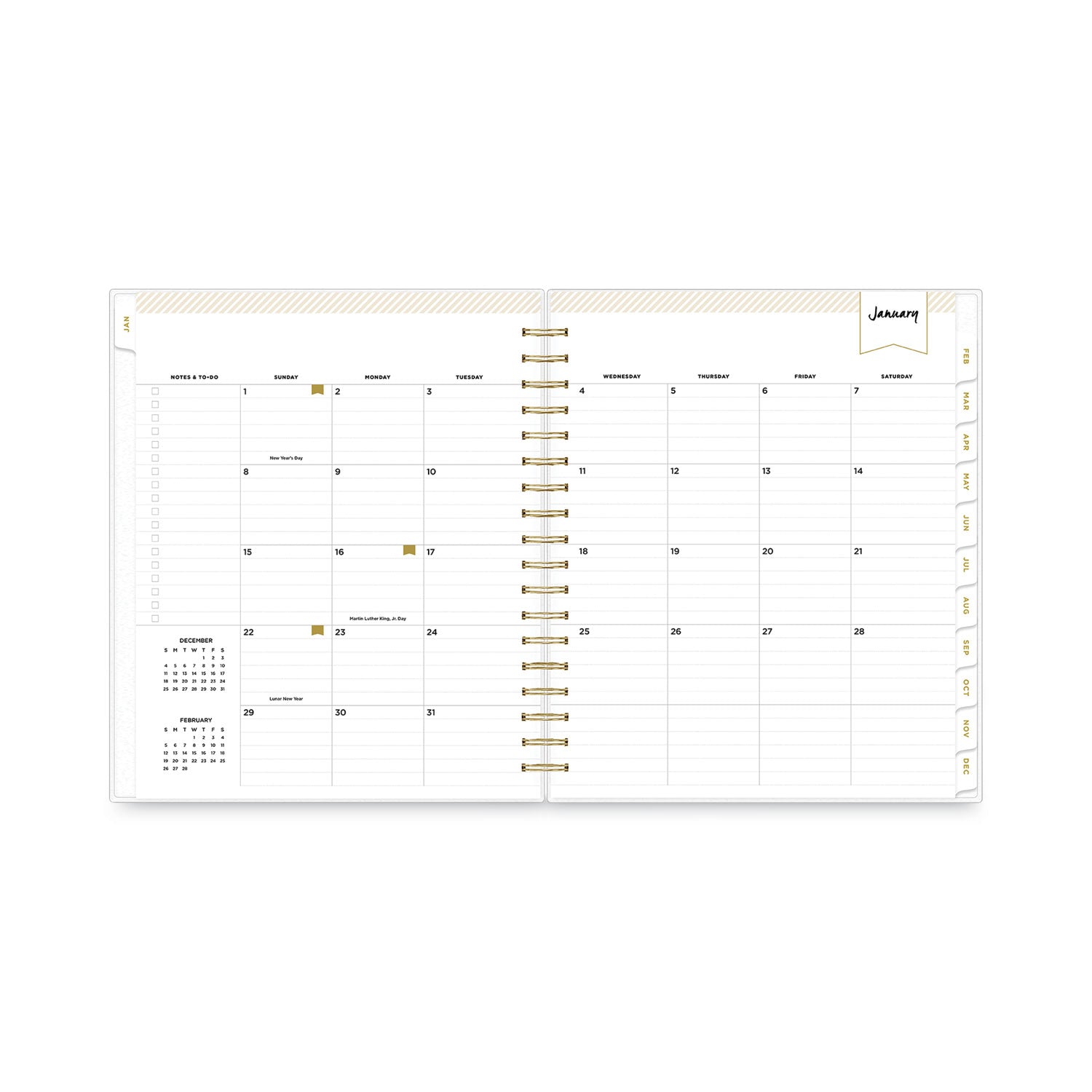 Blue Sky Day Designer Daily/Monthly Frosted Planner, Rugby Stripe Artwork, 10 x 8, Black/White Cover, 12-Month (July-June): 2024-2025 (137885)