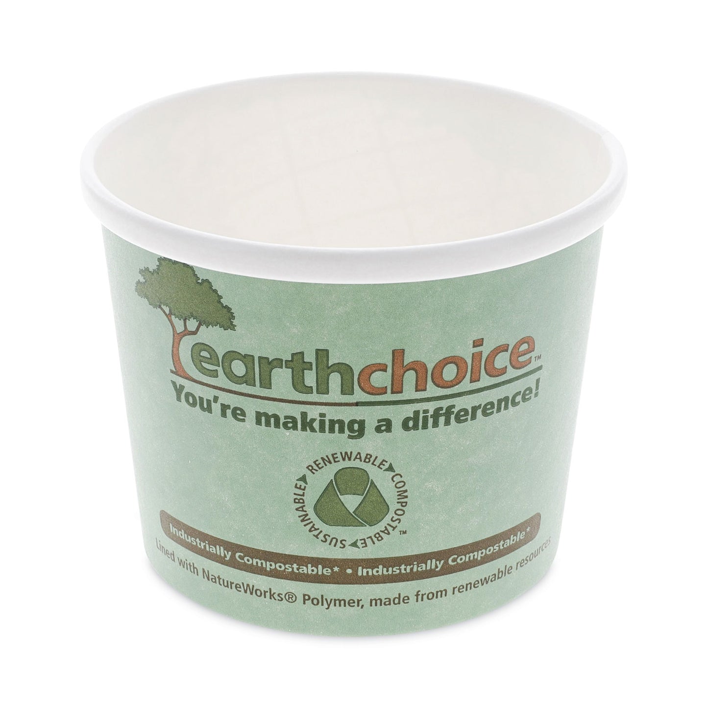 Pactiv EarthChoice Compostable Soup Cup, Medium, 12 oz, 3.63" Diameter x 3.63"h, Teal, Paper, 500/Carton (PHSC12ECDI)