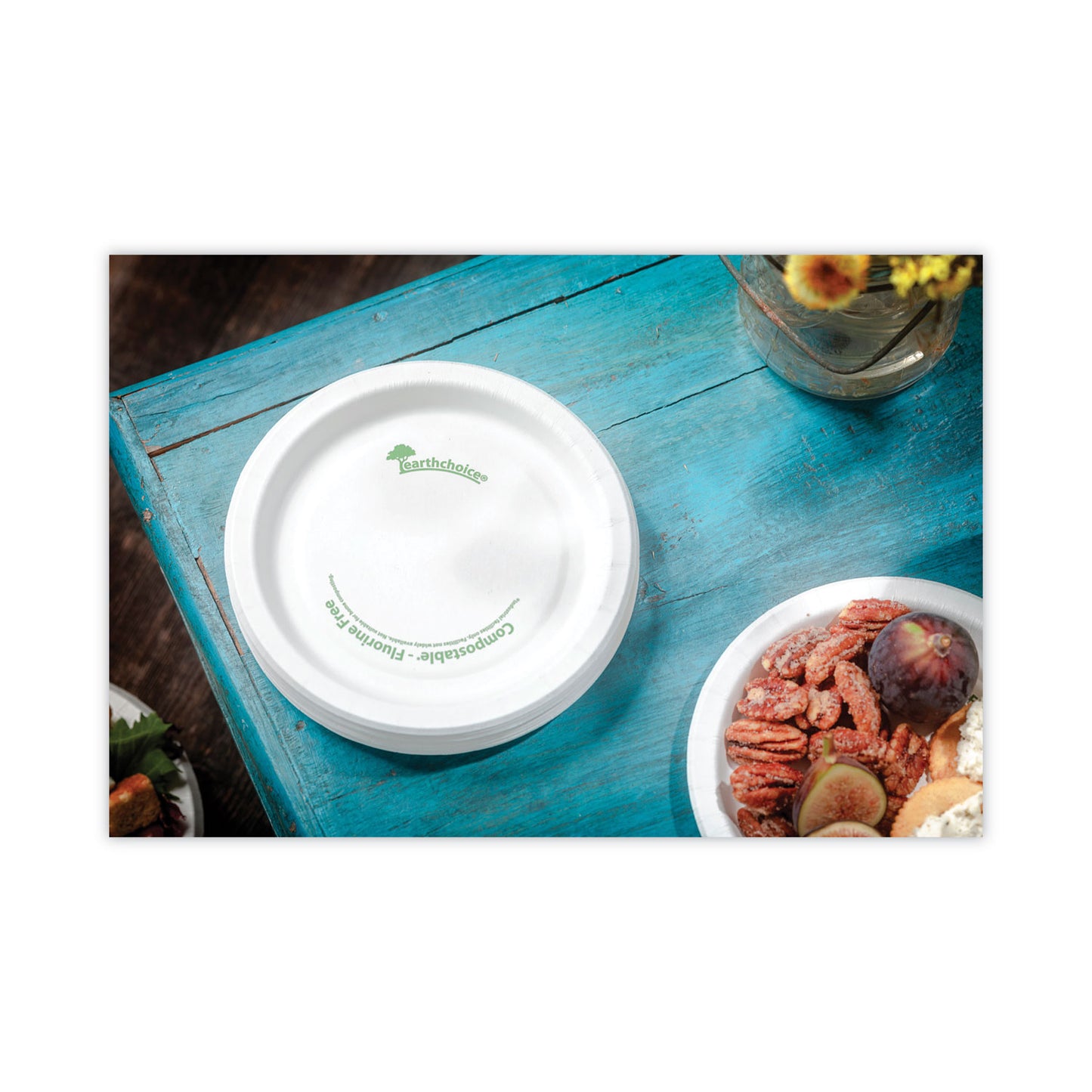 Pactiv EarthChoice Pressware Compostable Dinnerware, Plate, 6" dia, White, 750/Carton (PSP06EC)