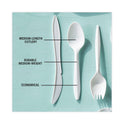 Pactiv Fieldware Cutlery, Spoon, Mediumweight, White, 1,000/Carton (YFWSWCH)