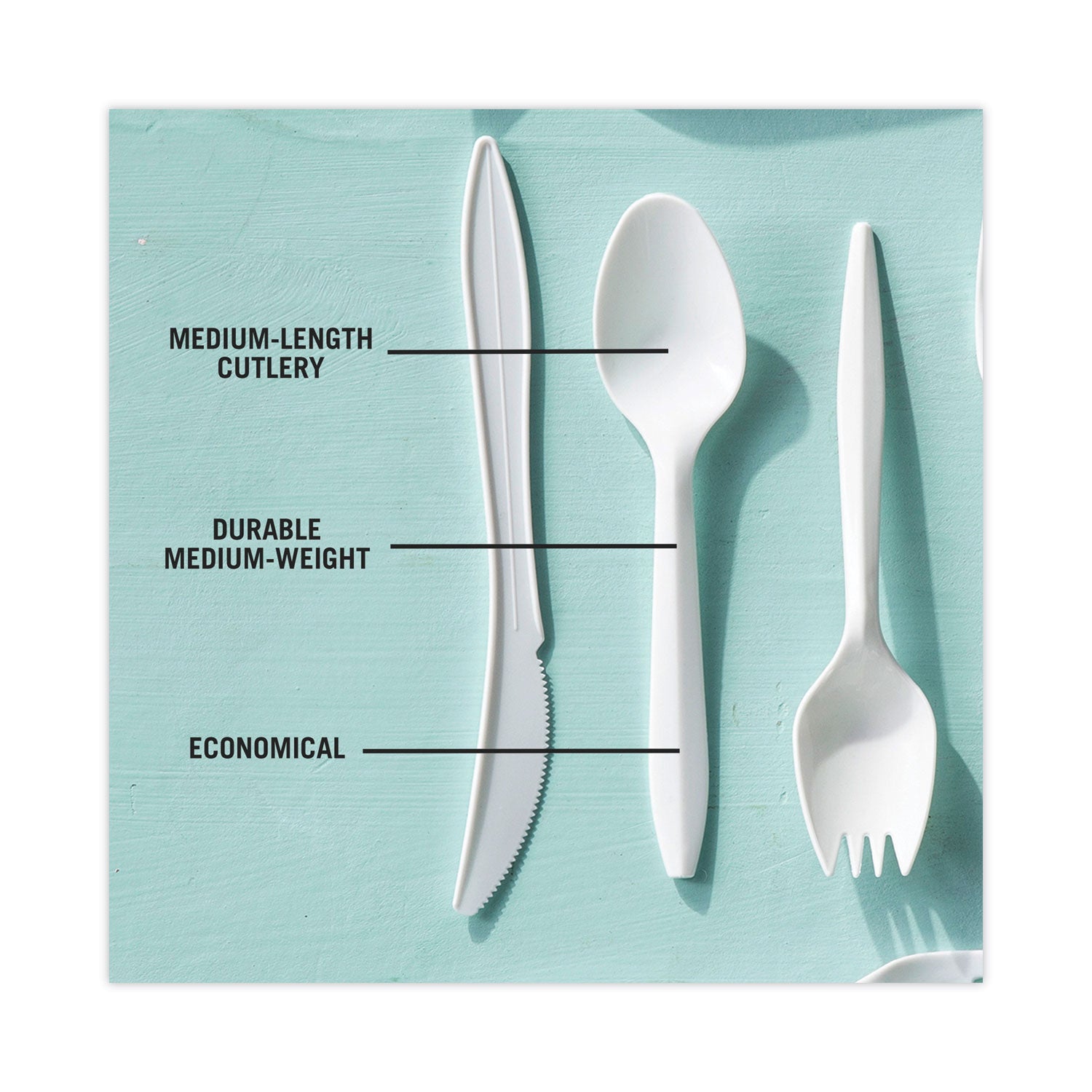 Pactiv Fieldware Cutlery, Spoon, Mediumweight, White, 1,000/Carton (YFWSWCH)