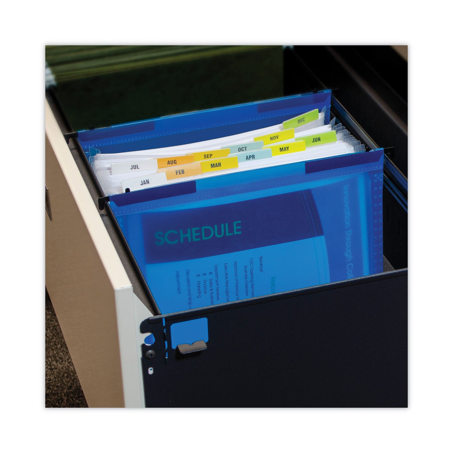 C-Line Expanding File with Hang Tabs, Pre-Printed Index-Tab Inserts, 12 Sections, 1" Capacity, Letter Size, 1/6-Cut Tabs, Blue (58215)