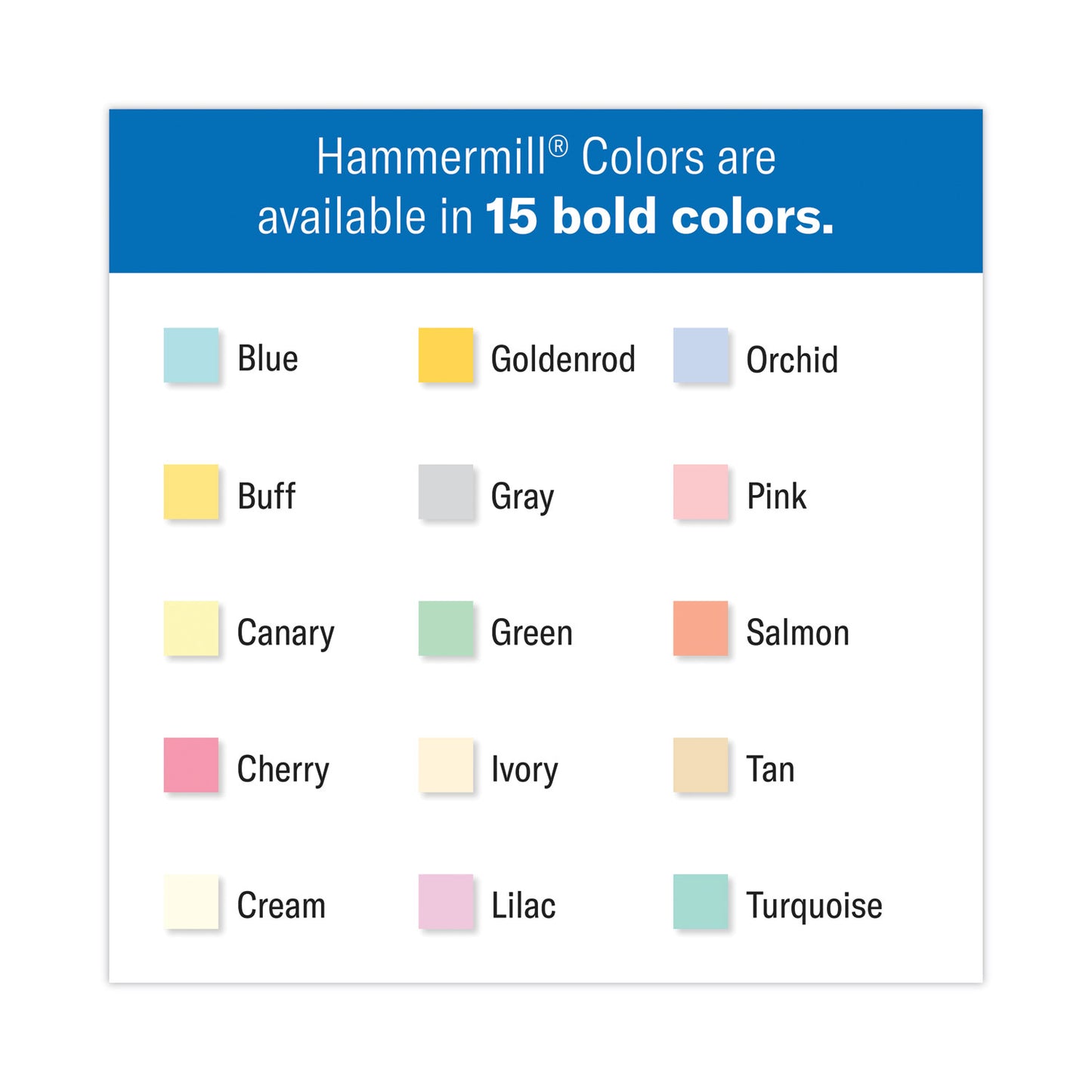 Hammermill Colors Print Paper, 20 lb Bond Weight, 8.5 x 11, Gray, 500/Ream (102889)