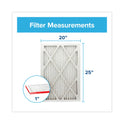 Filtrete Allergen Defense Air Filter, 20 x 25 (70071355948)