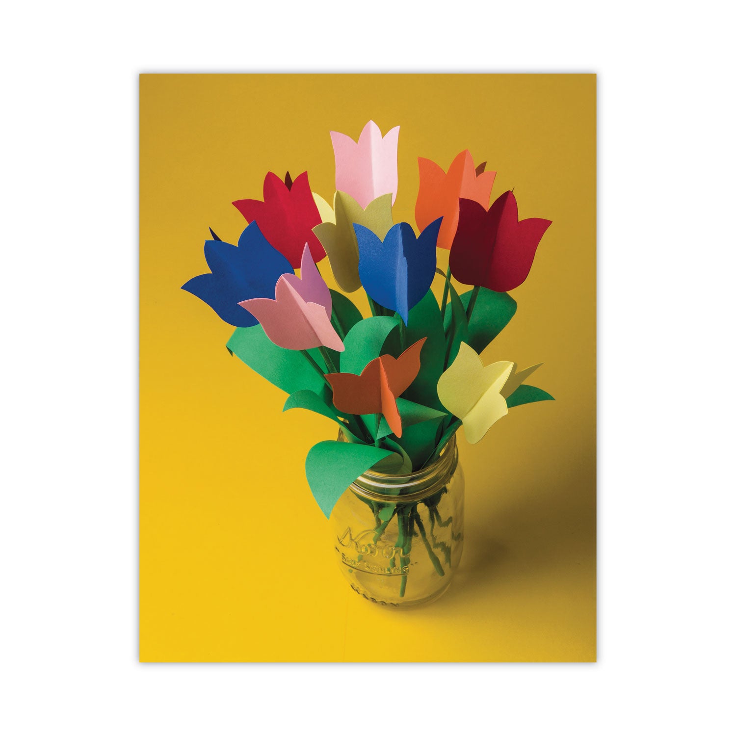 Pacon Tru-Ray Construction Paper, 76 lb Text Weight, 9 x 12, Assorted Standard Colors, 50/Pack (103031)