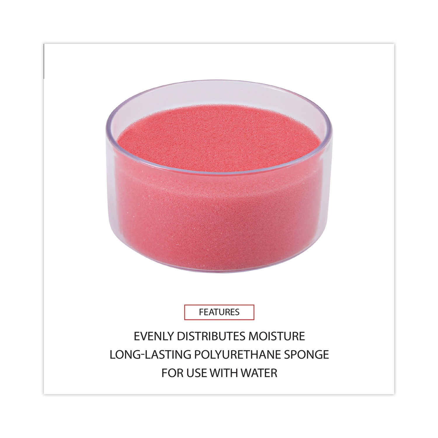 Universal Sponge Cup Moistener, 3" Diameter, Clear (56503)