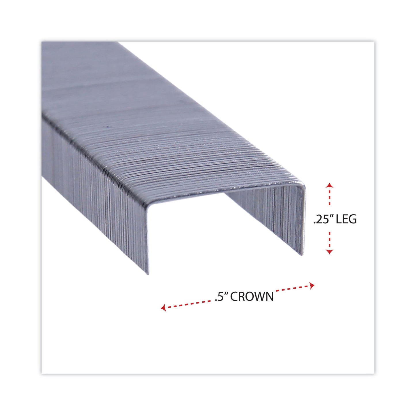 Universal Standard Chisel Point Staples, 0.25" Leg, 0.5" Crown, Steel, 5,000/Box, 5 Boxes/Pack, 25,000/Pack (79000VP)