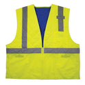 ergodyne Chill-Its 6668 Class 2 Hi-Vis Safety Cooling Vest, Polymer, X-Large, Lime (12715)