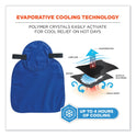 ergodyne Chill-Its 6717 Cooling Hard Hat Pad and Neck Shade - Polymers, 12.5 x 9.75, Blue (12336)