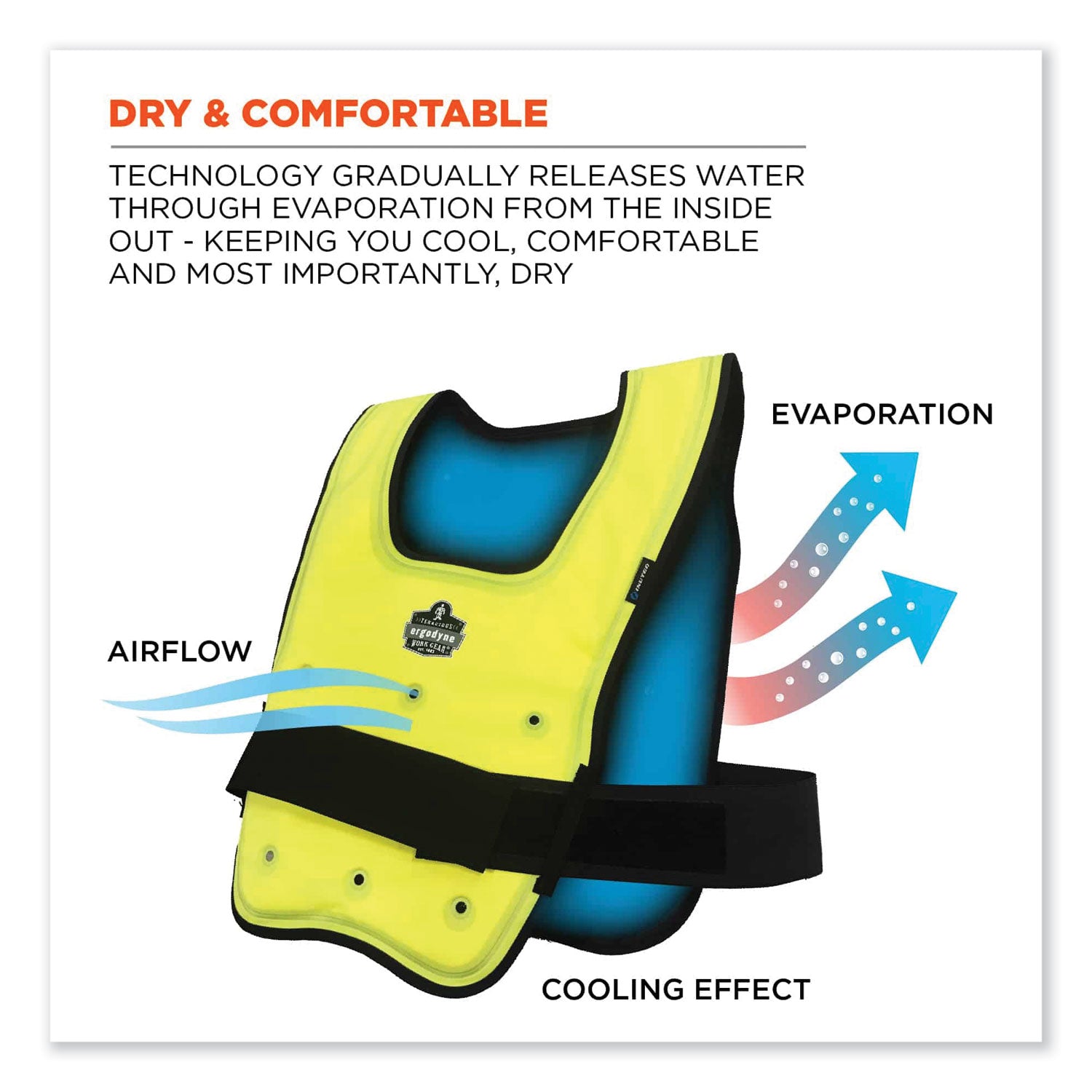 ergodyne Chill-Its 6687 Economy Dry Evaporative Cooling Elastic Waist Vest, Nylon, Small/Medium, Lime (12683)