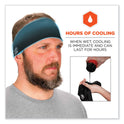 ergodyne Chill-Its 6634 Performance Knit Cooling Headband, Polyester/Spandex, One Size Fits Most, Black (12702)