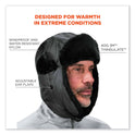 ergodyne N-Ferno 6802Z Zippered Trapper Hat, Large/X-Large, Black (16859)