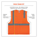 ergodyne GloWear 8210HL Class 2 Economy Mesh Hook and Loop Vest, Polyester, Large/X-Large, Orange (21015)