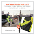 ergodyne GloWear 8928 Class E Hi-Vis Insulated Bibs, Large, Lime (25524)