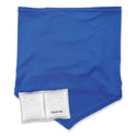 ergodyne Chill-Its 6482 Cooling Neck Gaiter Bandana Pocket Kit, Polyester/Spandex, Small/Medium, Blue (42135)