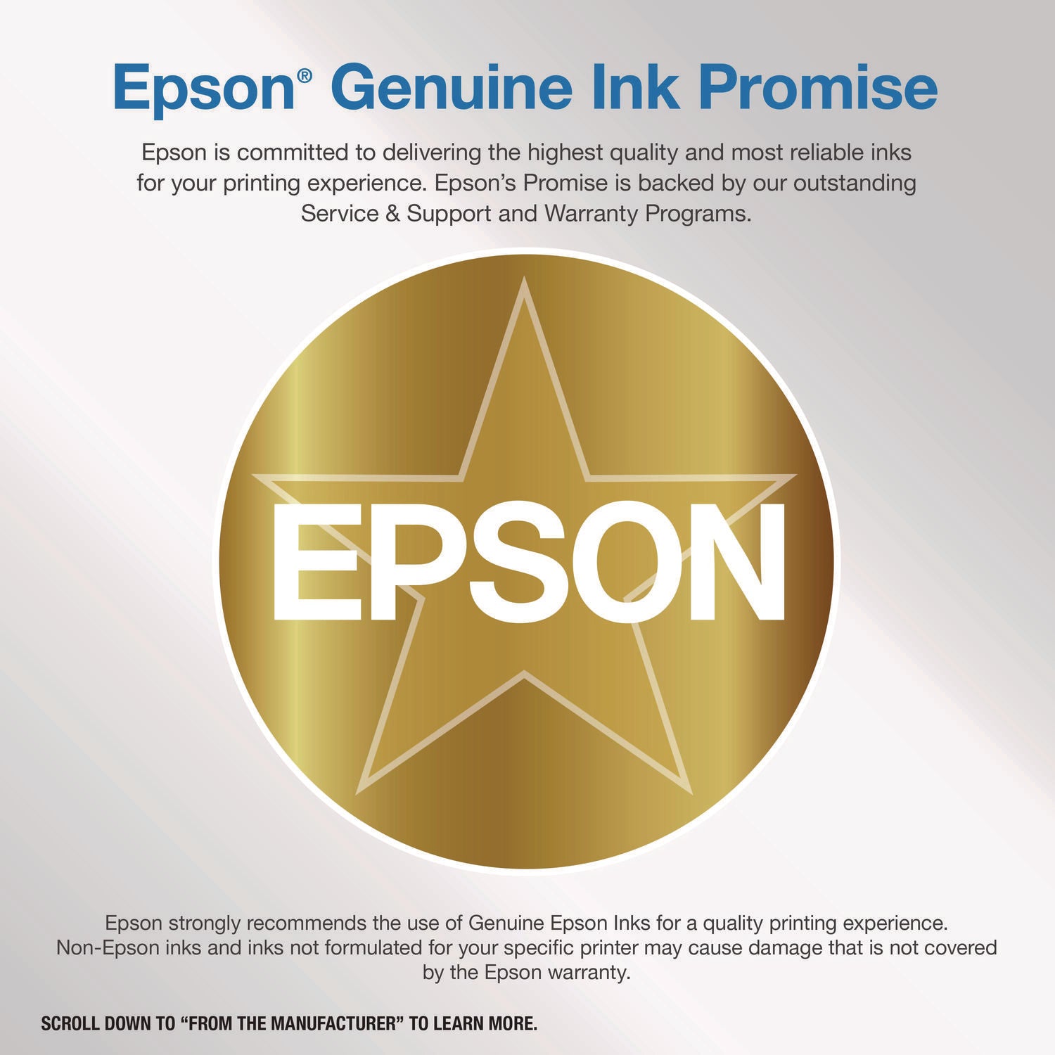 Epson T890700 UltraChrome GS3 Ink, Light Black (T890720)